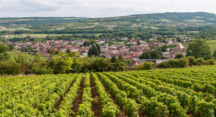 Regions France Bourgogne Vignobles