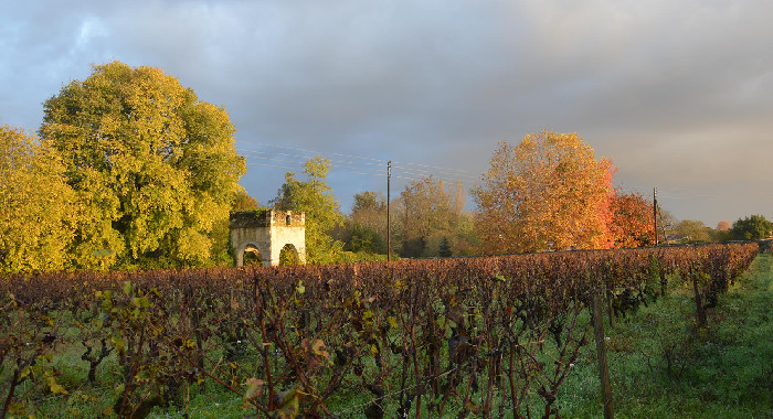 Domaine CLOS DADY - CLOS LES REMPARTS