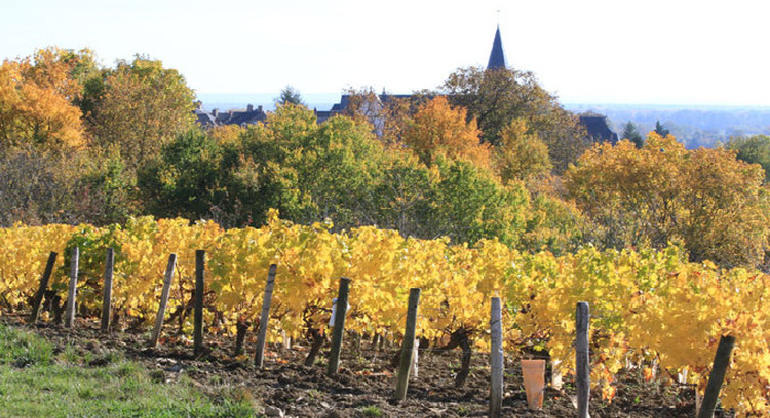 Village de Pouilly sur Loire © BK Backus