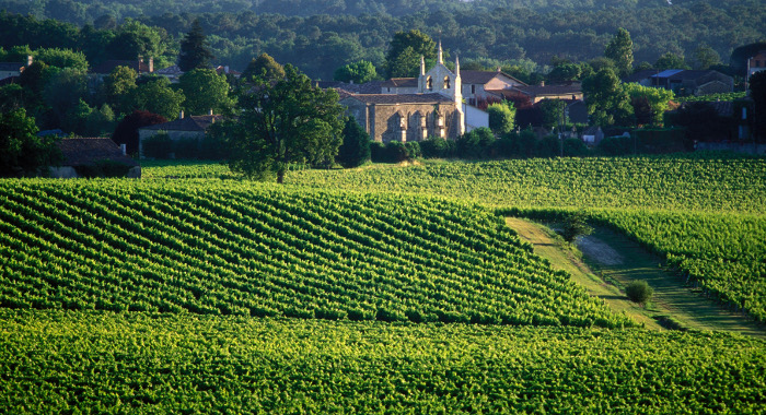 Regions France Bordeaux Chateau Vignobles