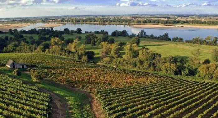 Regions France Loire Vignobles Anjou