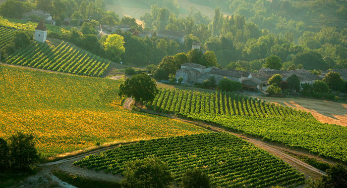 Regions France Sud Ouest Vignes Gaillac